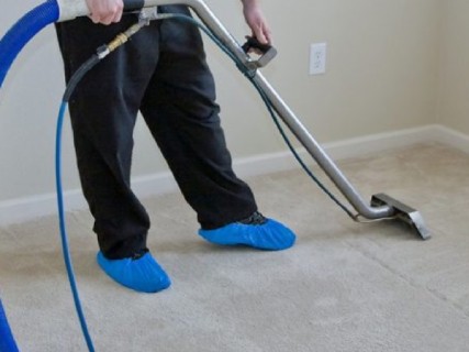 carpet being cleaned by a hot water extraction machine