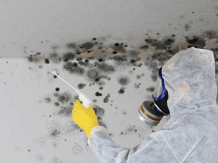 technician in protective equipment sprays a surface with mold contamination